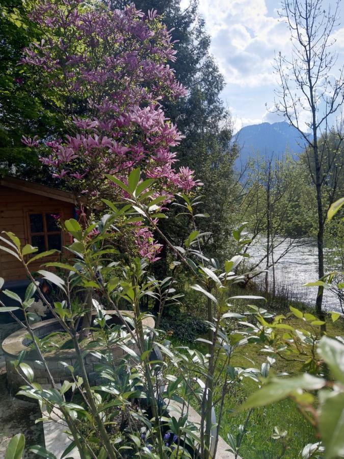 Apartments An Der Traun Bad Ischl Esterno foto